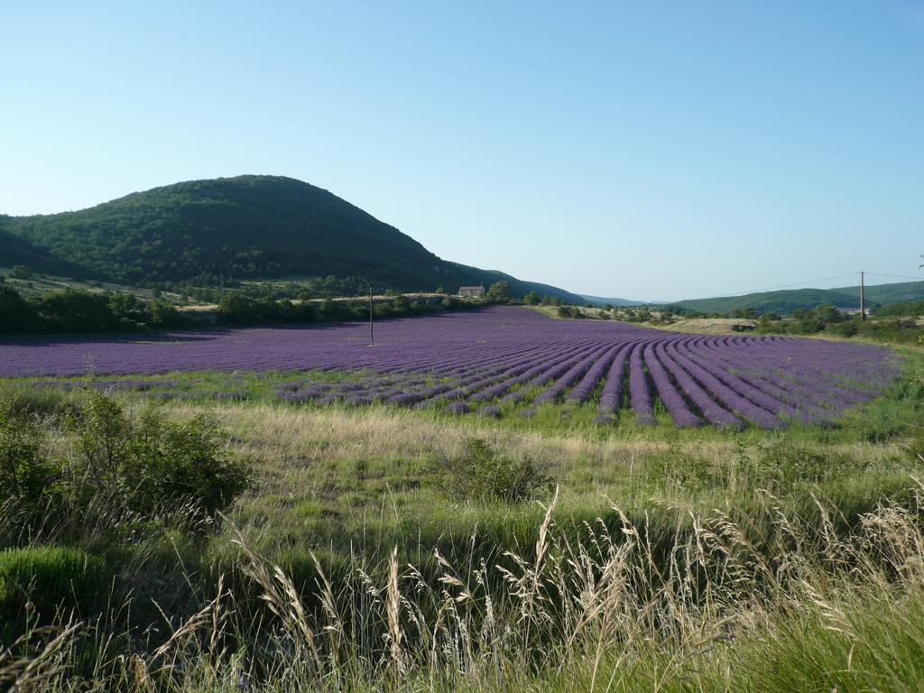 La Grange De La Lavande Lardiers Exterior foto